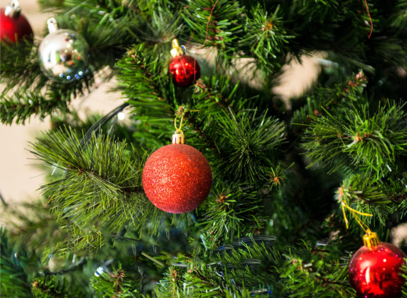 Free Christmas Tree Pickup