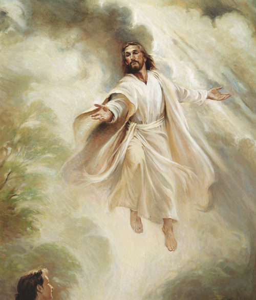Stake Conference – January 20-21, 2024